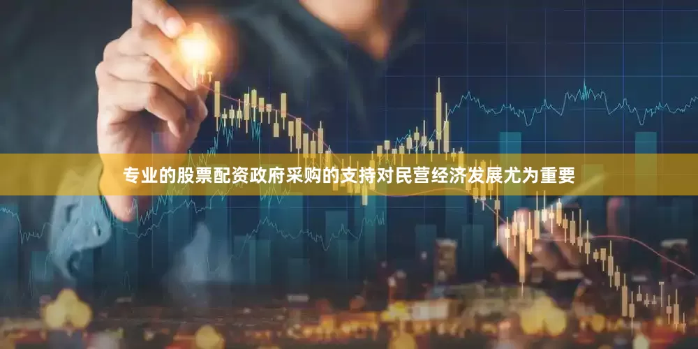 专业的股票配资政府采购的支持对民营经济发展尤为重要