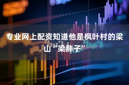 专业网上配资知道他是枫叶村的梁山“梁胖子”
