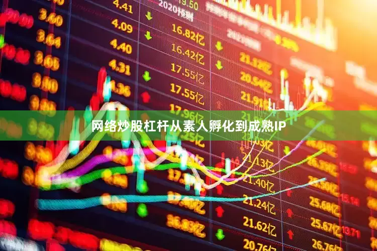 网络炒股杠杆从素人孵化到成熟IP